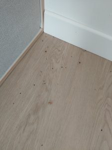 Топлинна обработка срещу дървеници